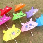 Whatsapp Image 2024 12 02 At 1.10.16 Pm (2)